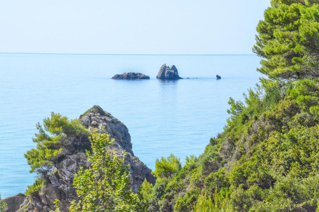 Corfu Resorts Villas Pelekas Eksteriør billede